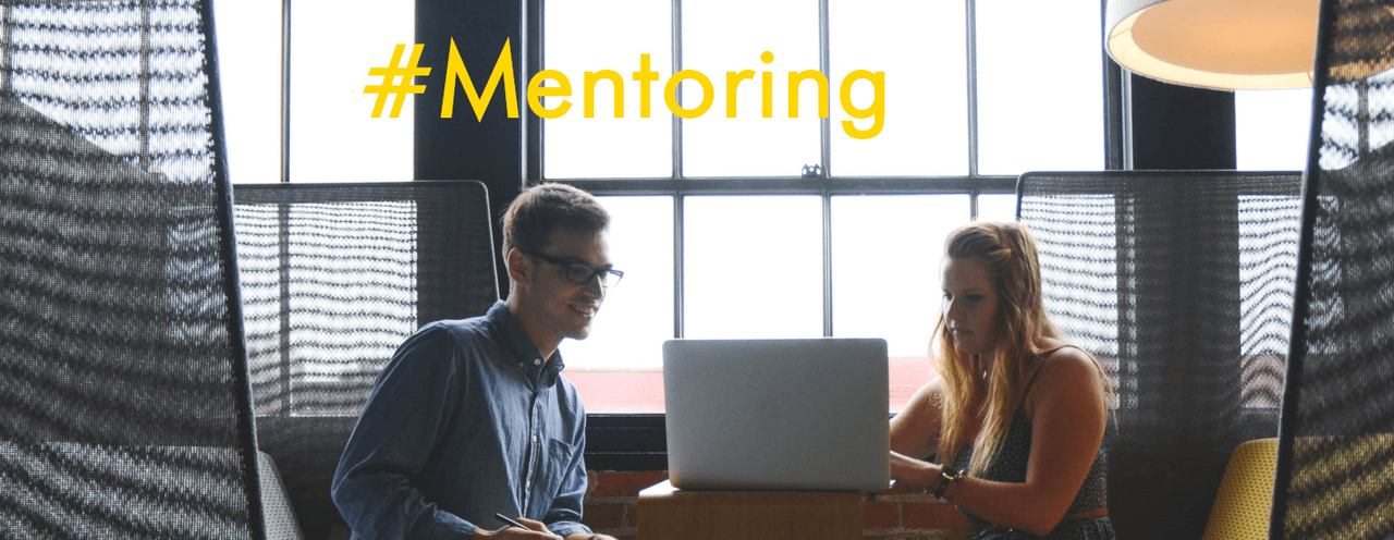 disciplina disciplina desarrollada por mentor y mentorizado